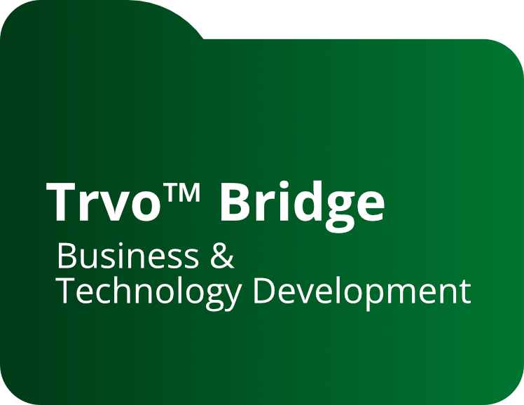 Ilustração do serviço TRVO Bridge