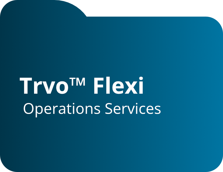Ilustração do serviço TRVO Flexi